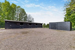 stable yard at dormer bungalow for sale in Penyffordd